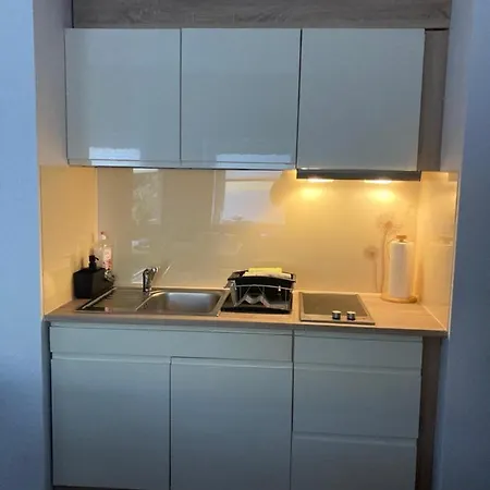 Im Gaenseried Apartment Erfurt