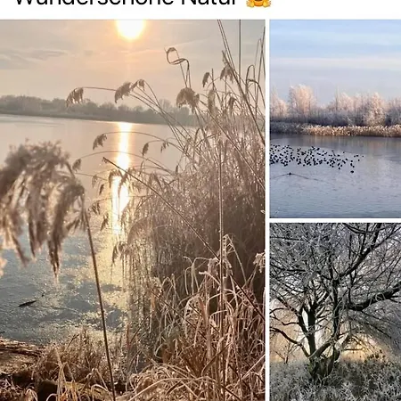 Im Gaenseried