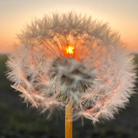 Im Gaenseried Apartmán *