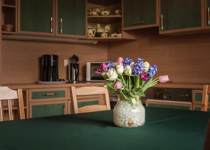 דירה Im Gaenseried ארפורט